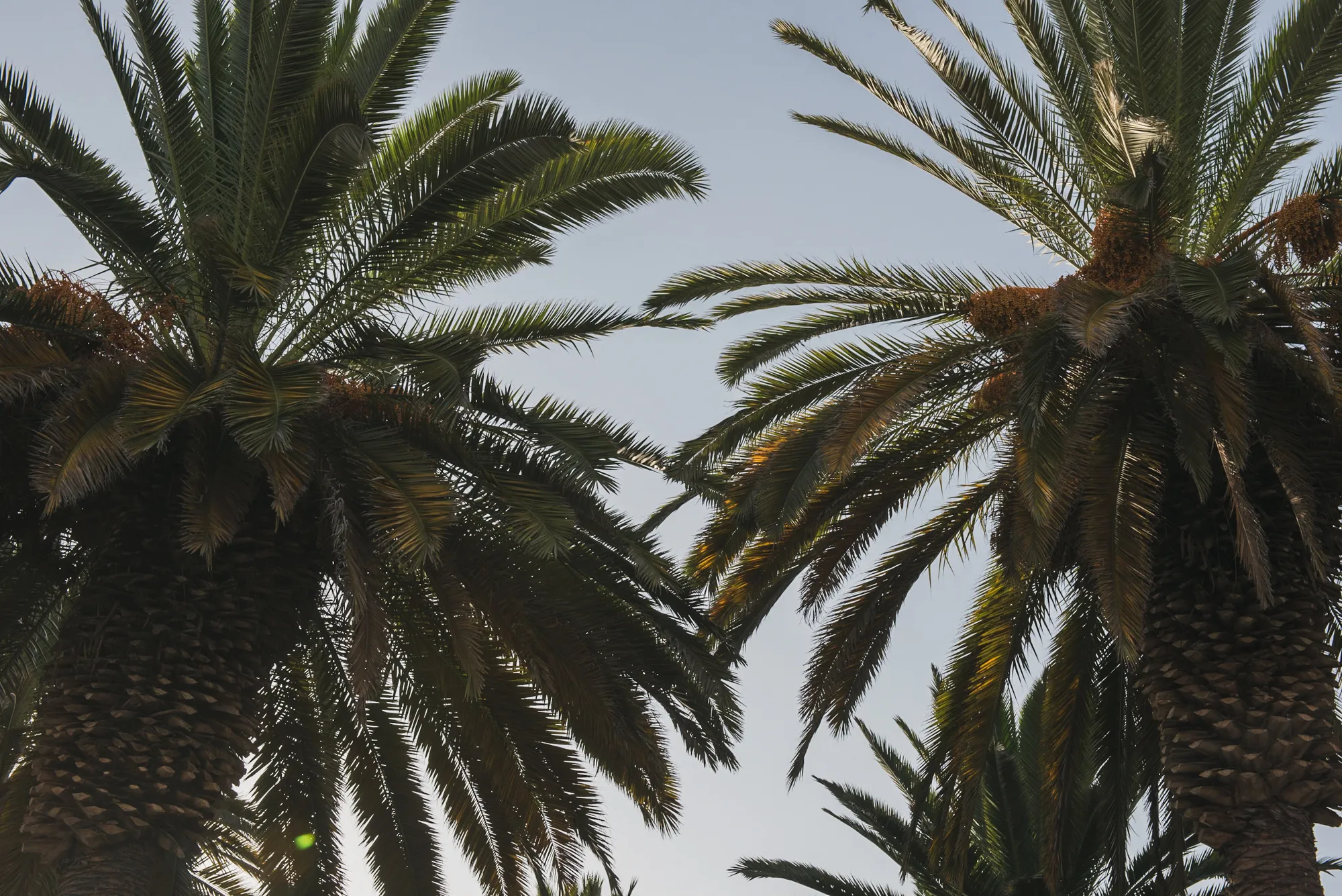 Arequipa, Peru