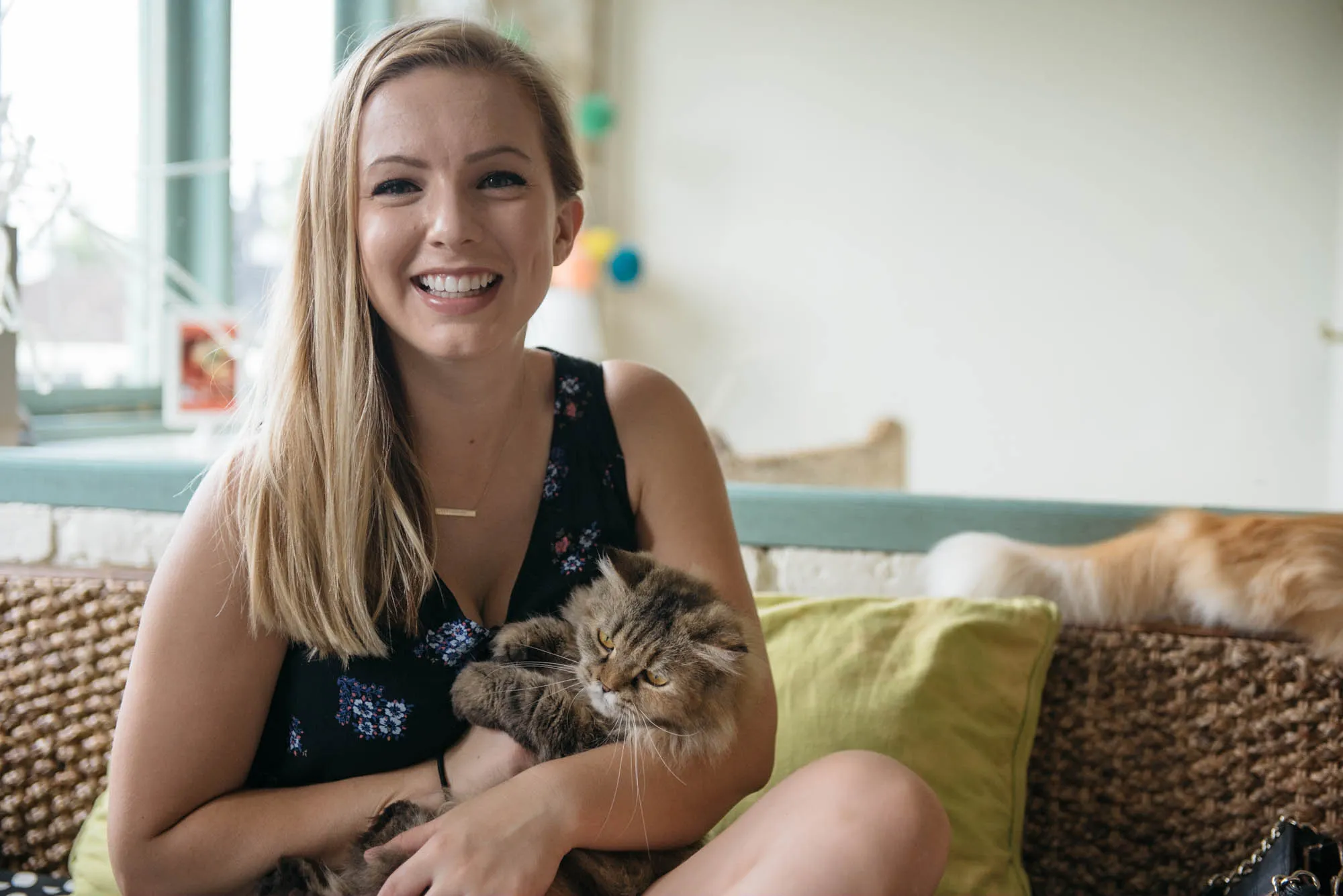 Bali, Indonesia - Cat Cafe, Medicine Man, and Luwak Coffee