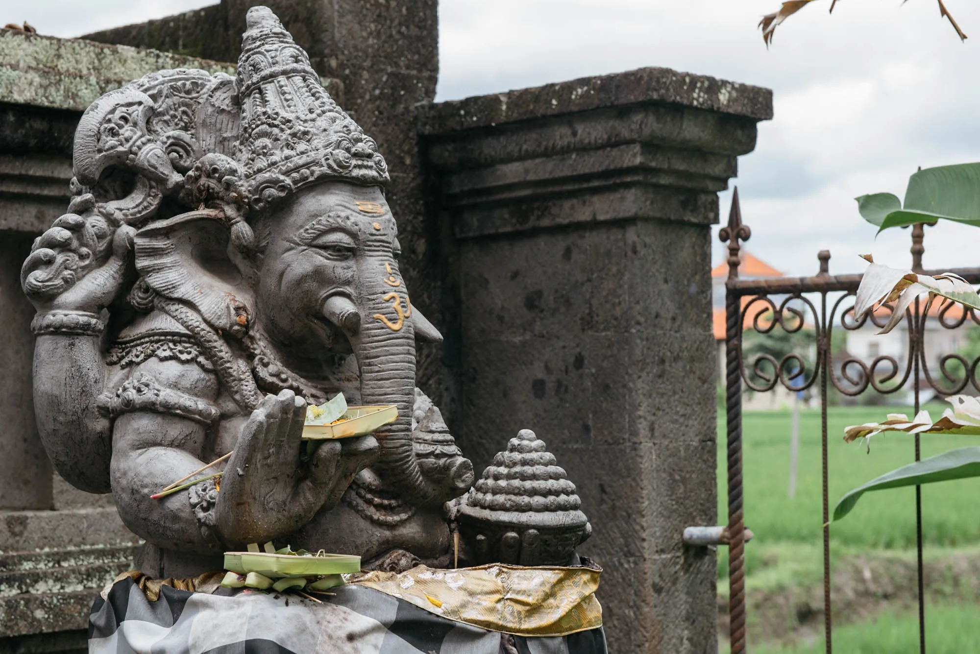 Bali, Indonesia - Cat Cafe, Medicine Man, and Luwak Coffee