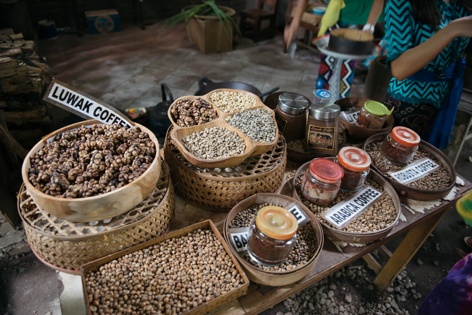 Bali, Indonesia - Cat Cafe, Medicine Man, and Luwak Coffee