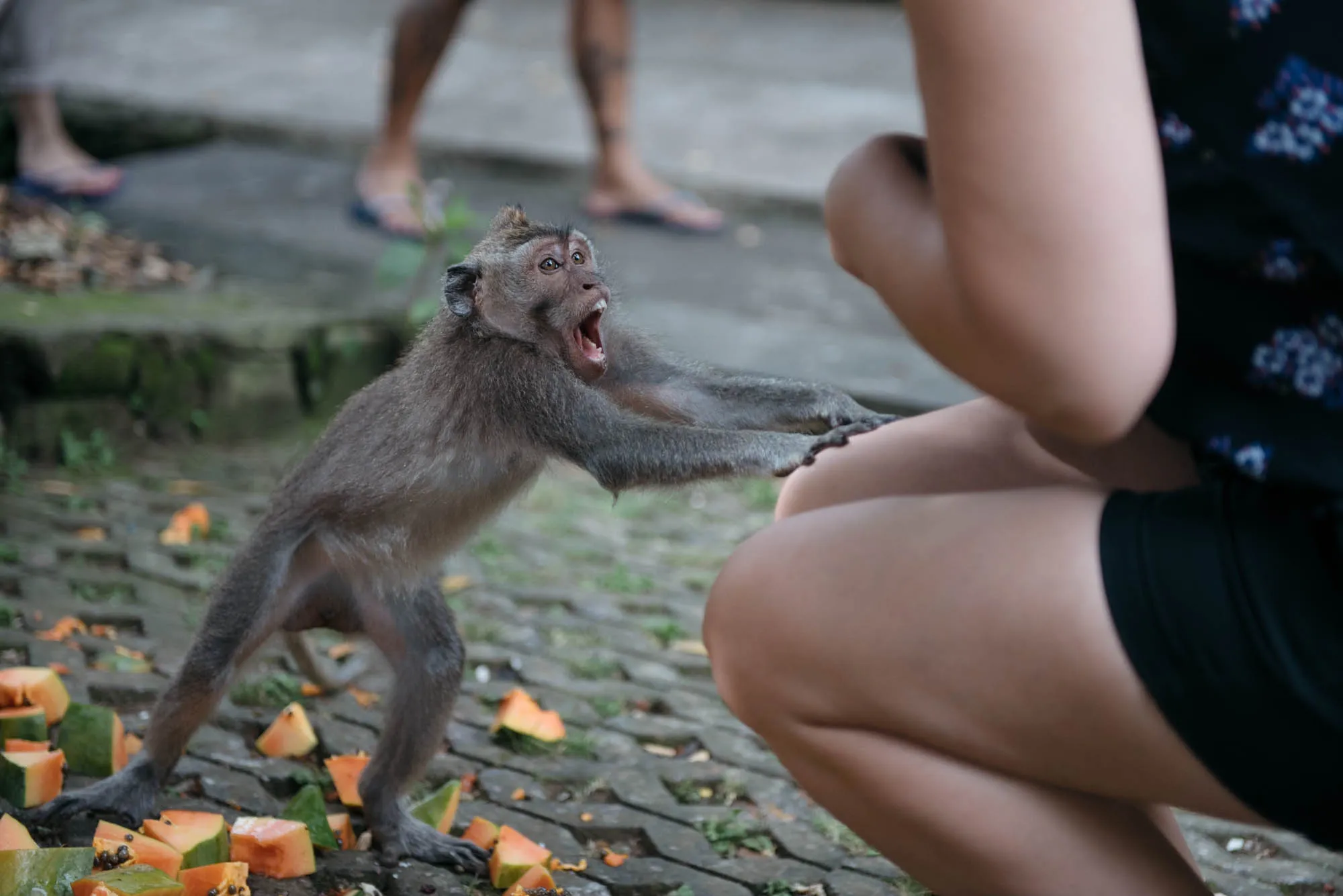 Bali, Indonesia - Ubud