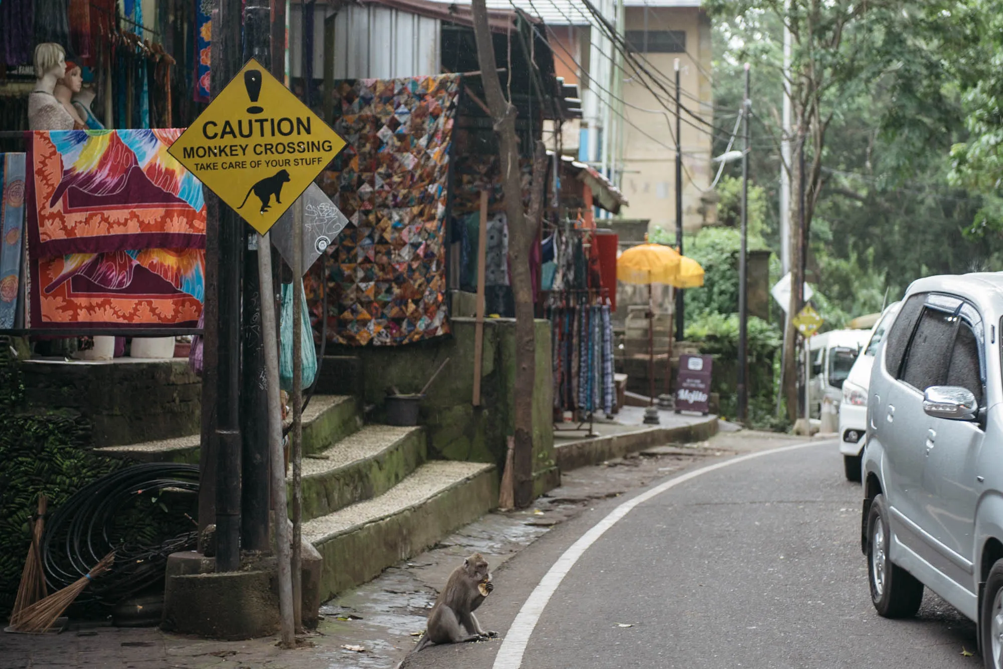 Bali, Indonesia - Ubud