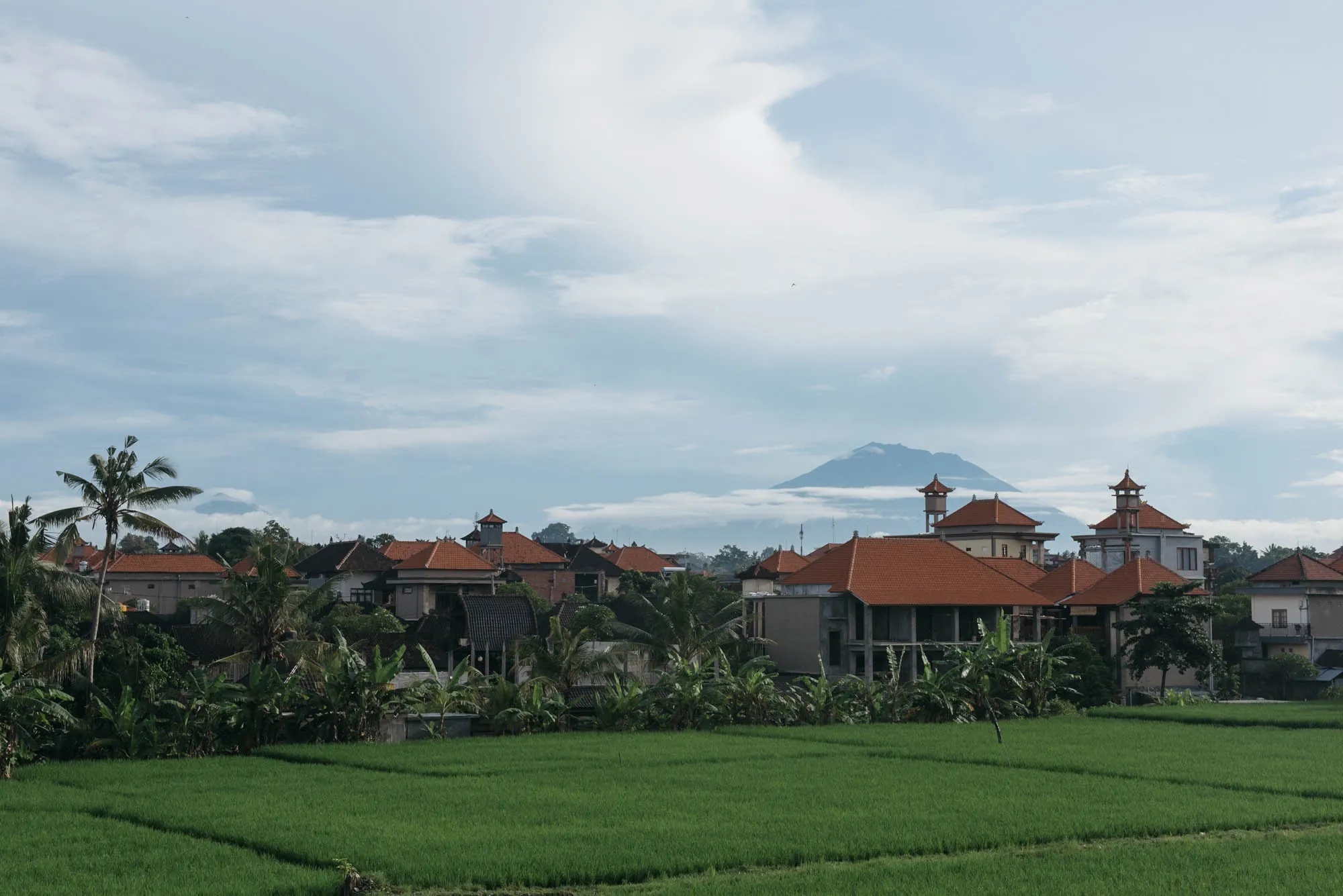 Bali, Indonesia - Ubud