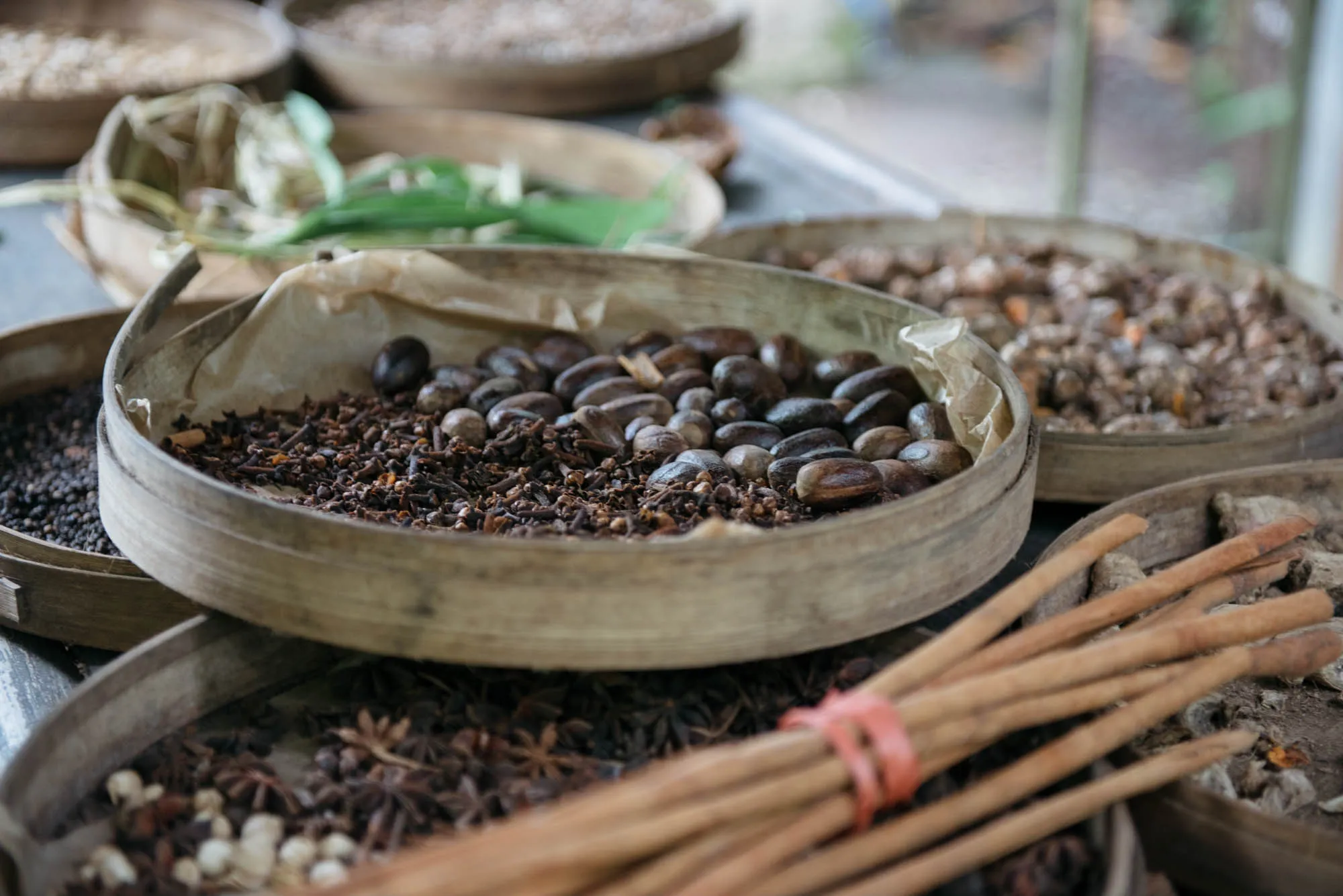 Bali, Indonesia - Cat Cafe, Medicine Man, and Luwak Coffee
