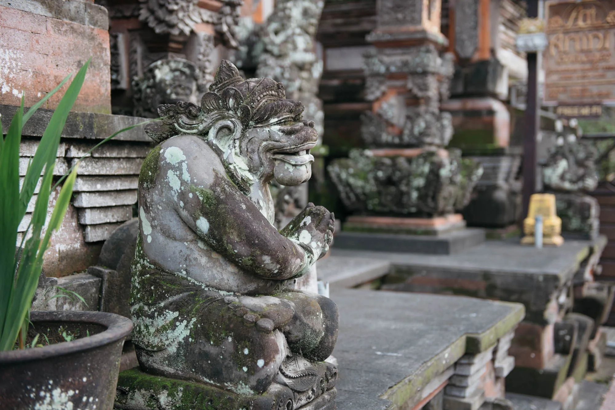 Bali, Indonesia - Ubud