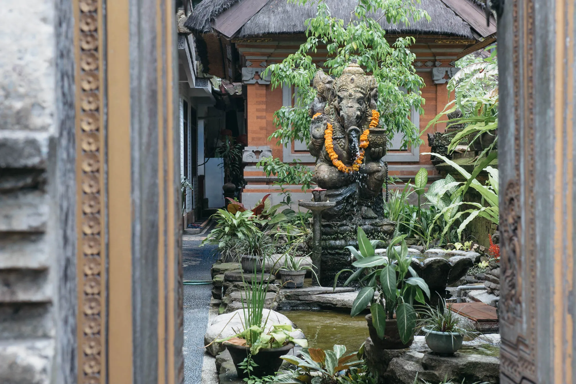 Bali, Indonesia - Cat Cafe, Medicine Man, and Luwak Coffee