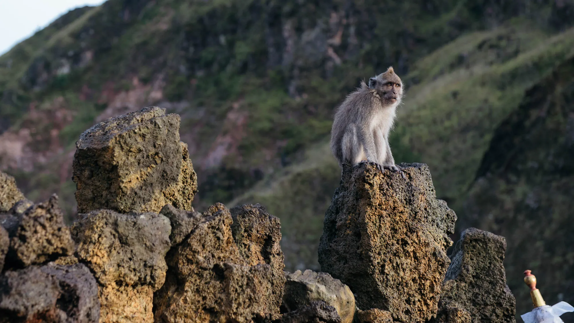 Bali, Indonesia - Mt. Batur, Temples, and Rice Terraces