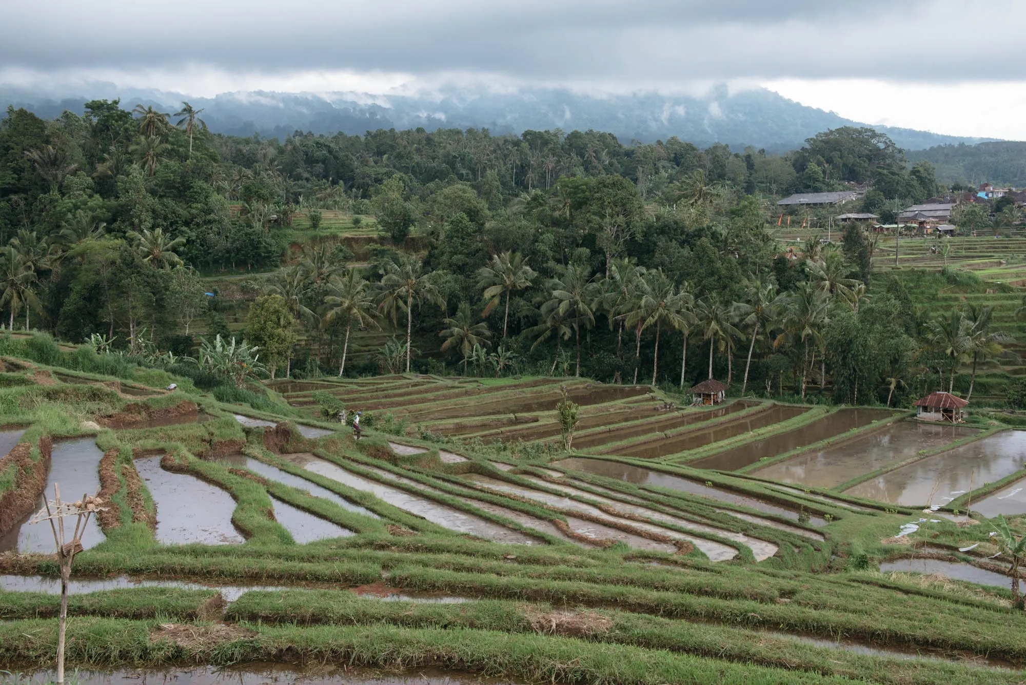 Bali, Indonesia - Mt. Batur, Temples, and Rice Terraces