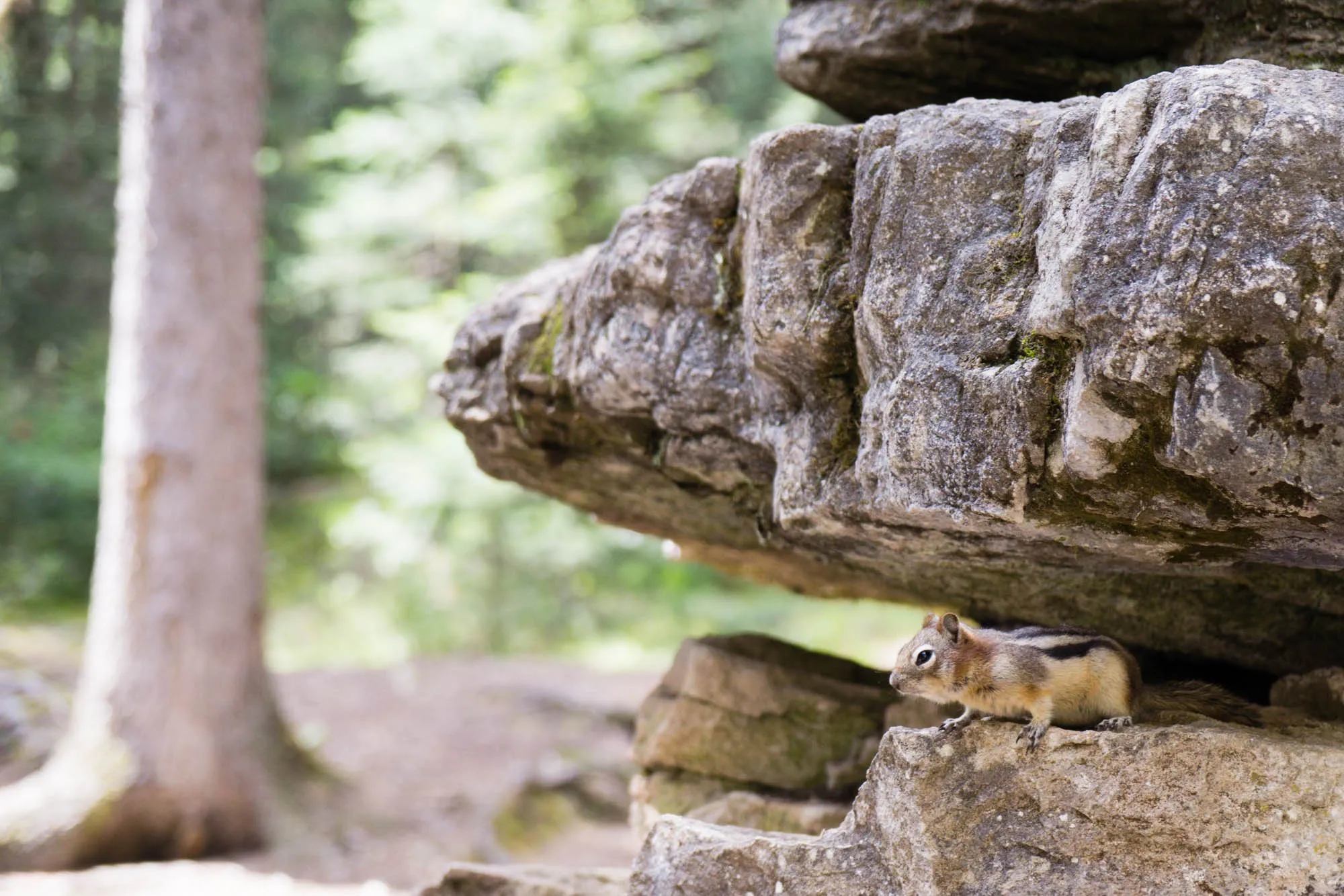 Banff, Our Canadian Road Trip