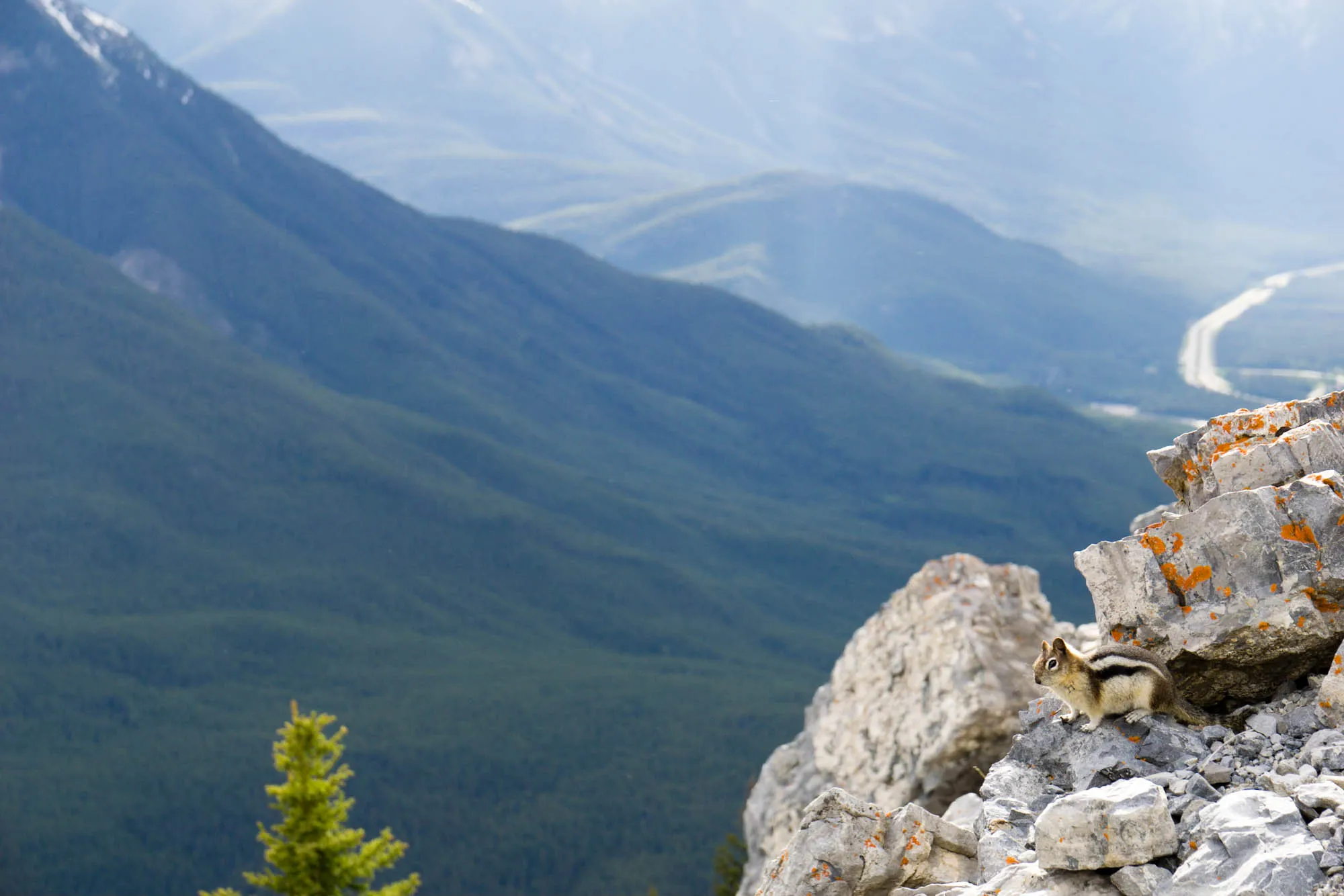 Banff, Our Canadian Road Trip