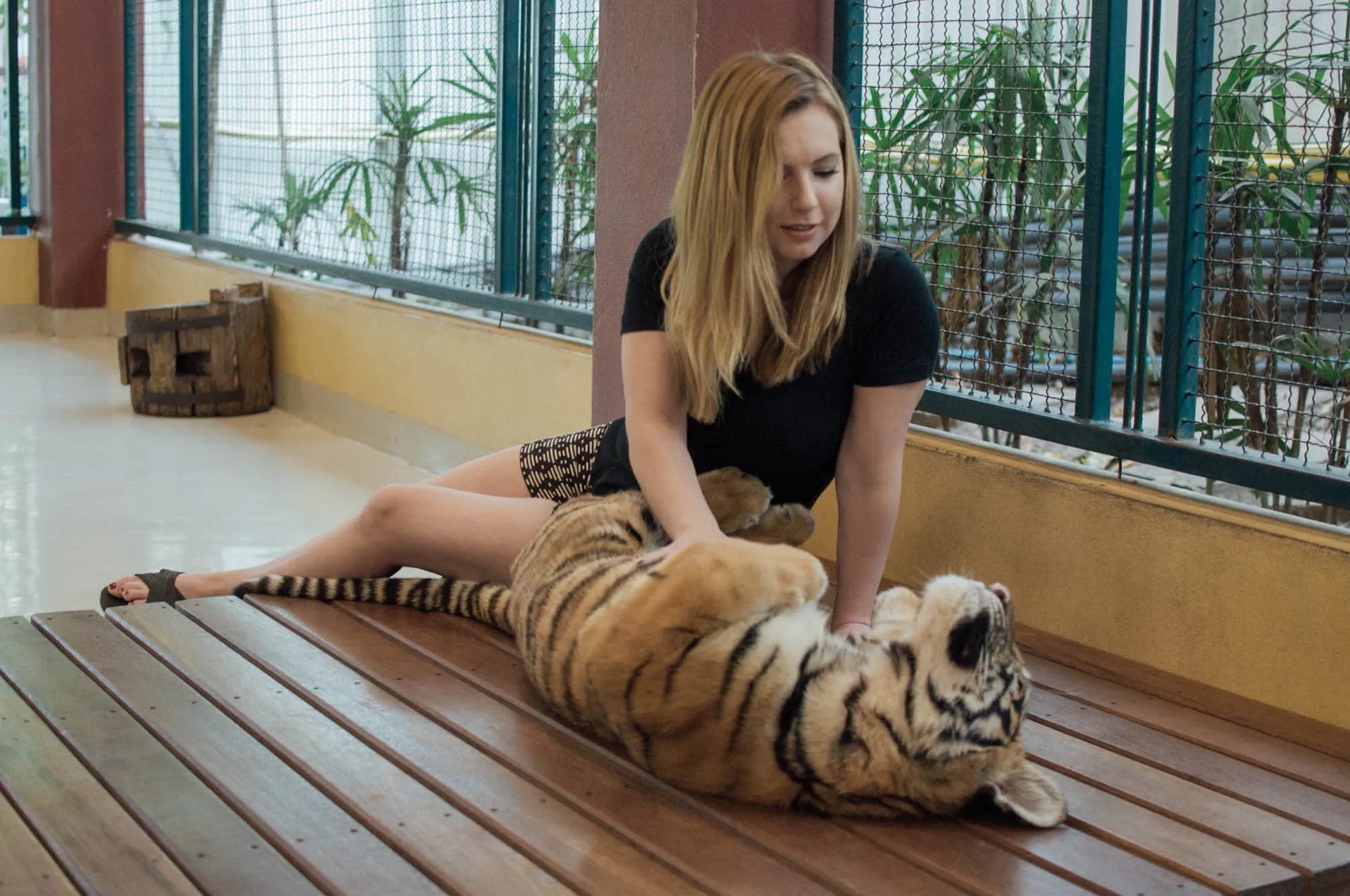 Chiang Mai, Thailand