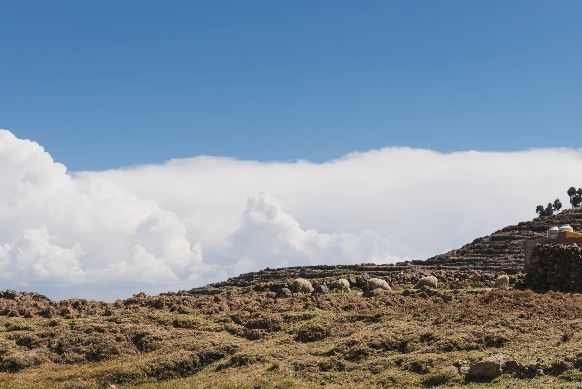 Lake Titicaca, Peru