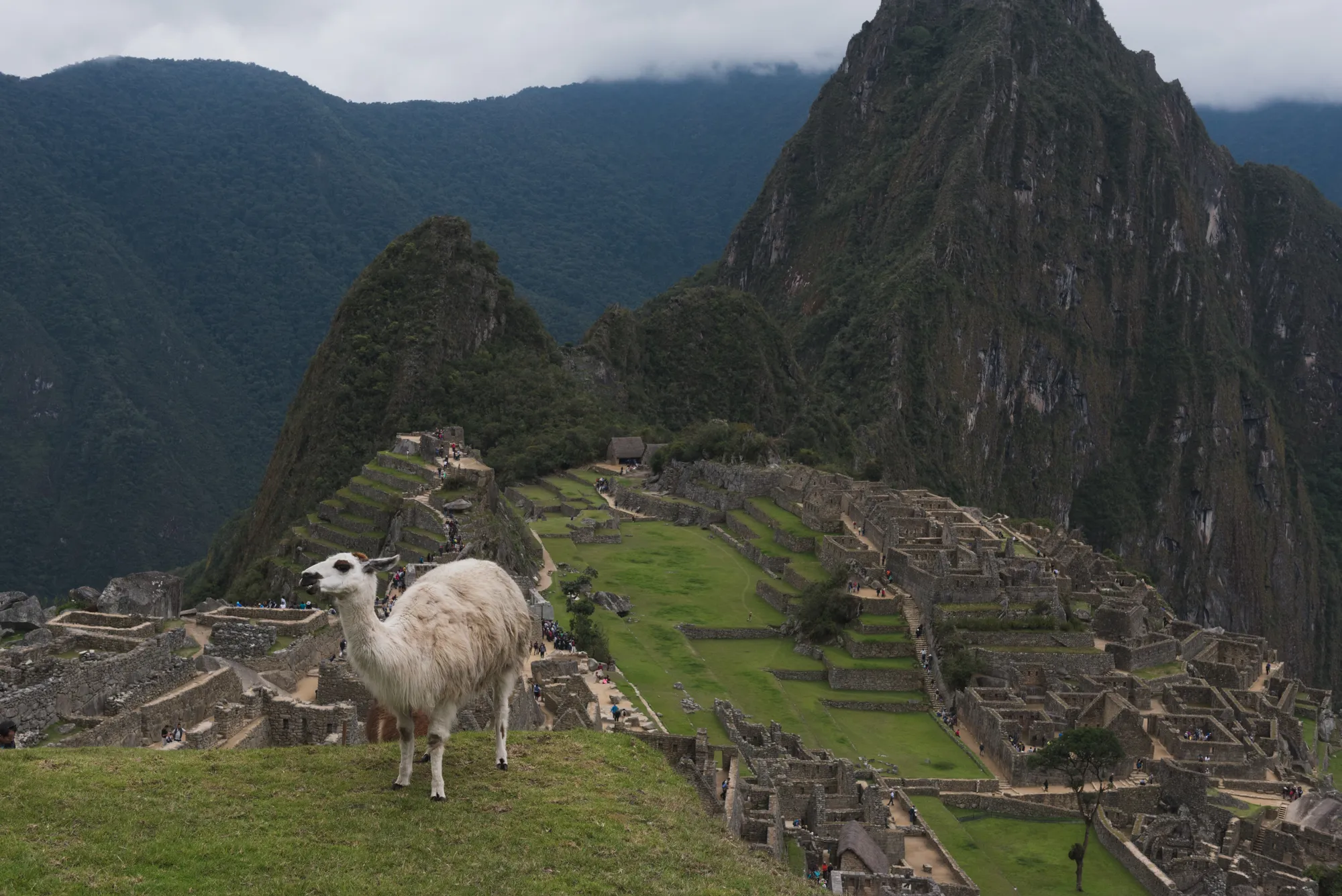 Machu Picchu, Peru