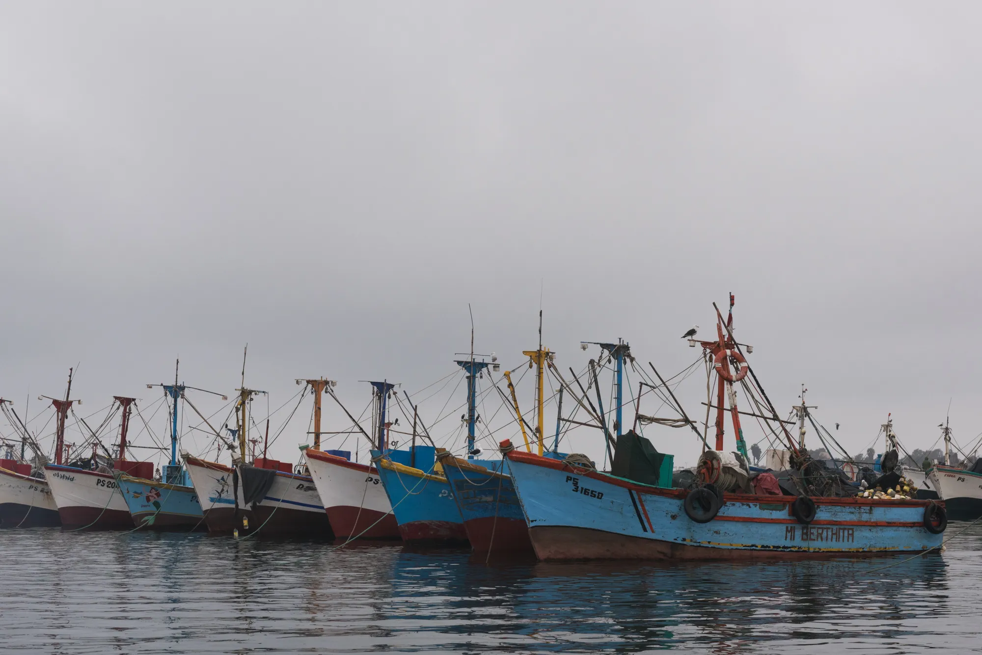 Paracas and Ballestas Islands, Peru
