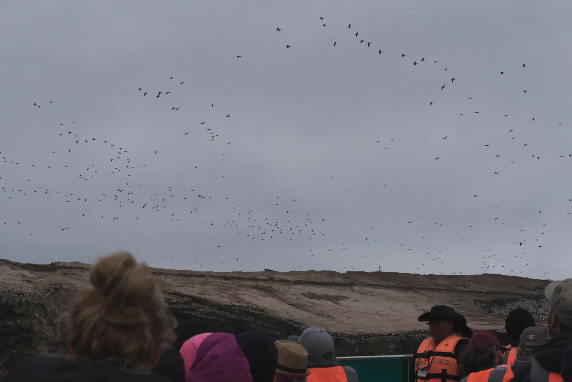 Paracas and Ballestas Islands, Peru