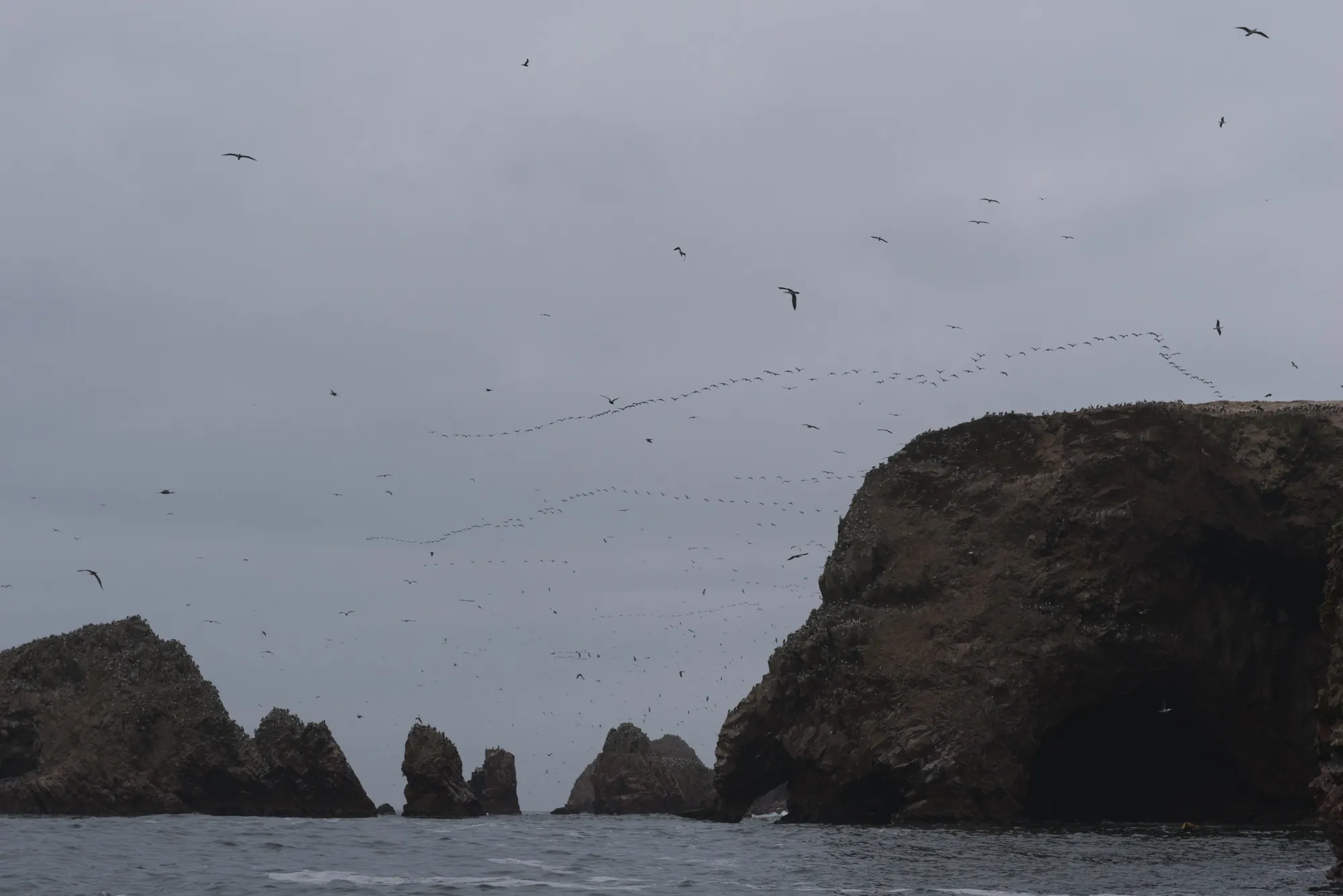 Paracas and Ballestas Islands, Peru