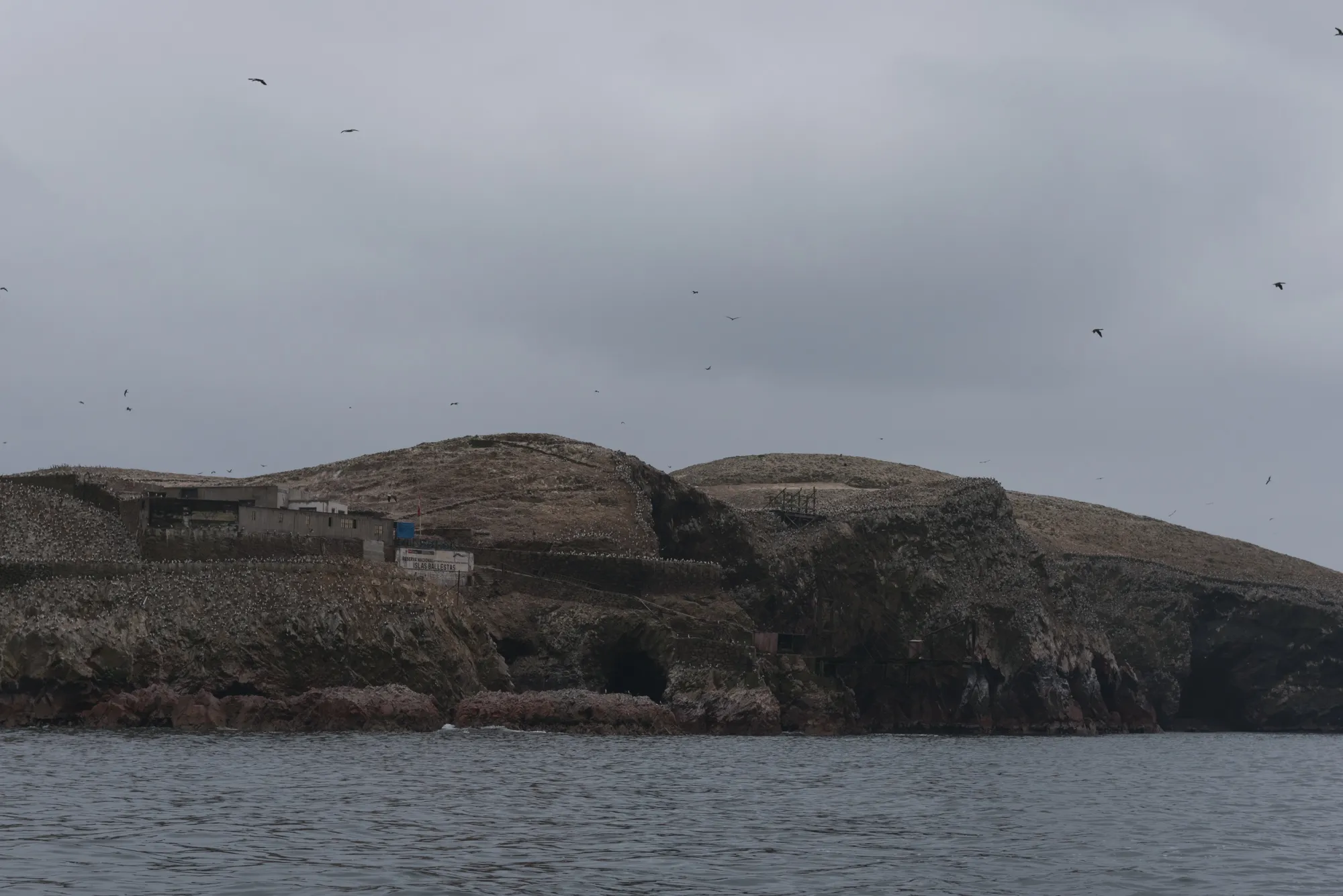 Paracas and Ballestas Islands, Peru