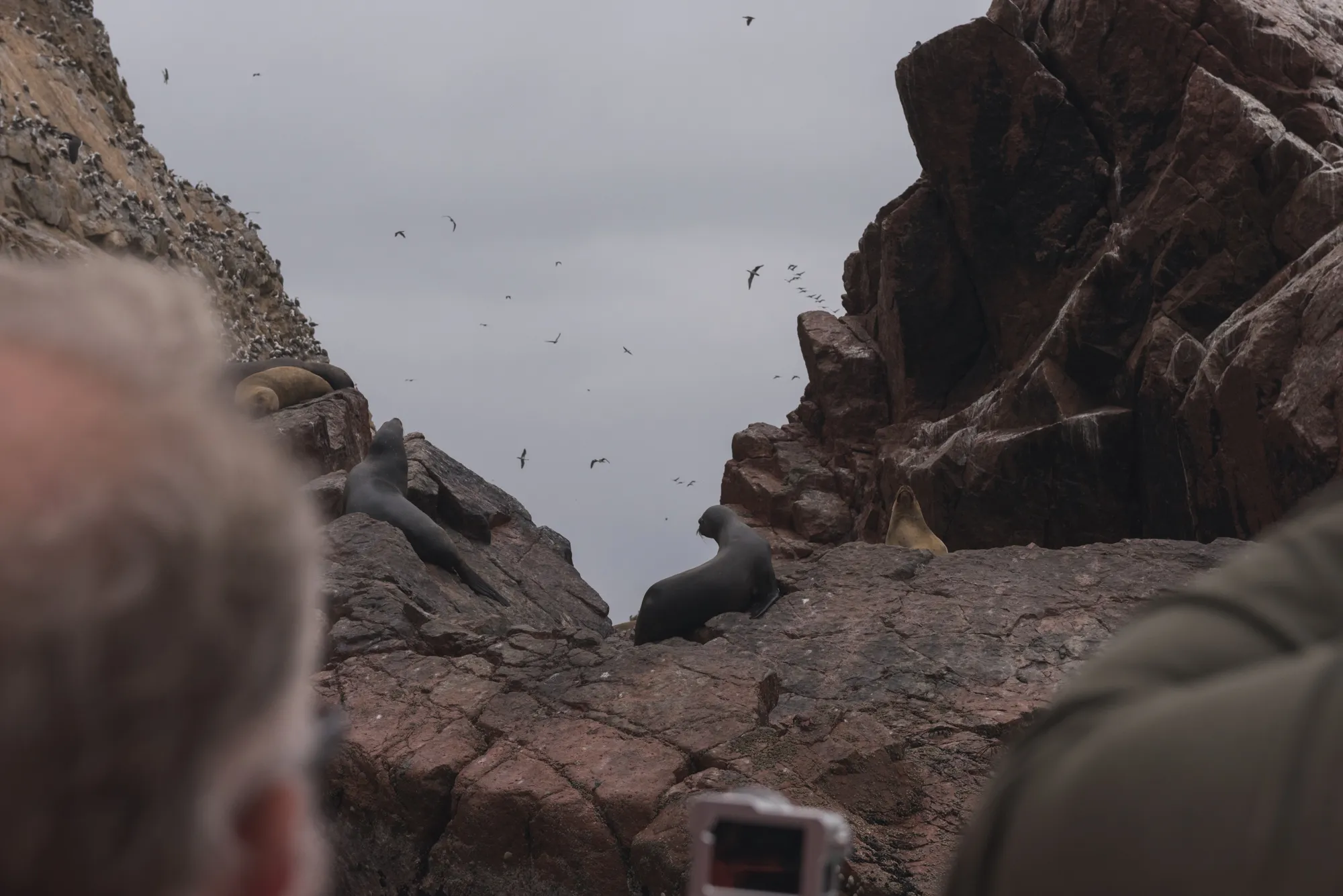 Paracas and Ballestas Islands, Peru