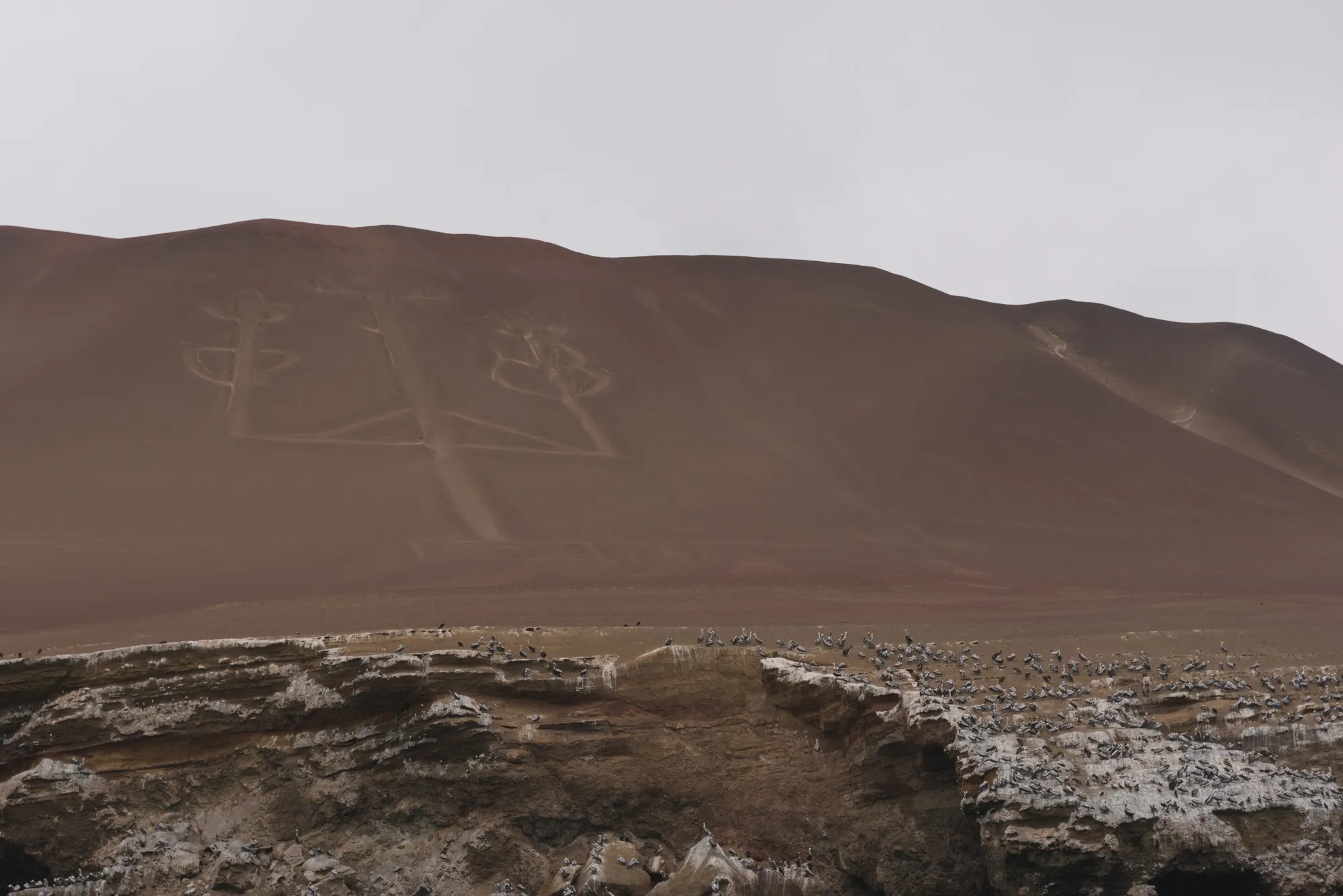 Paracas and Ballestas Islands, Peru