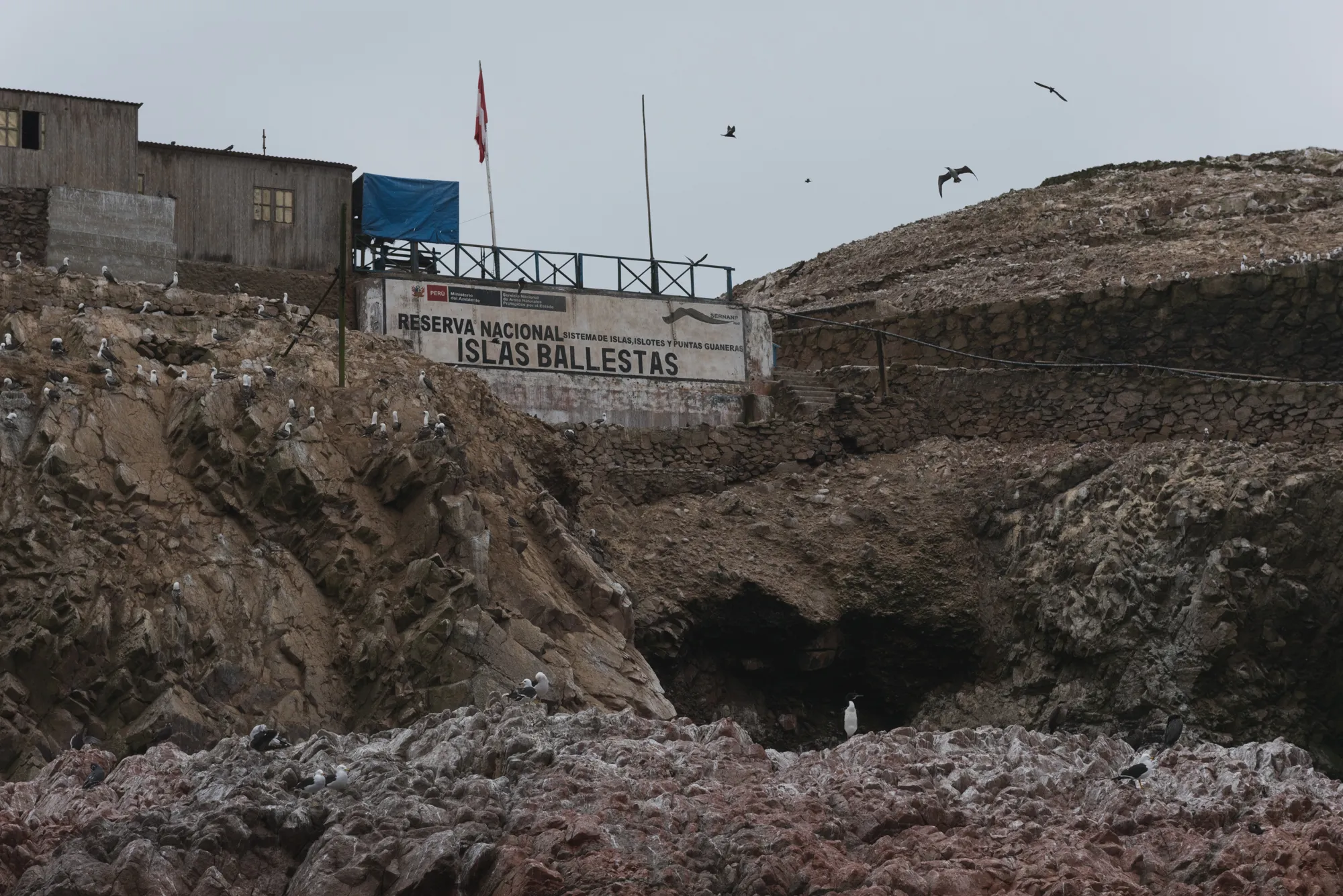 Paracas and Ballestas Islands, Peru