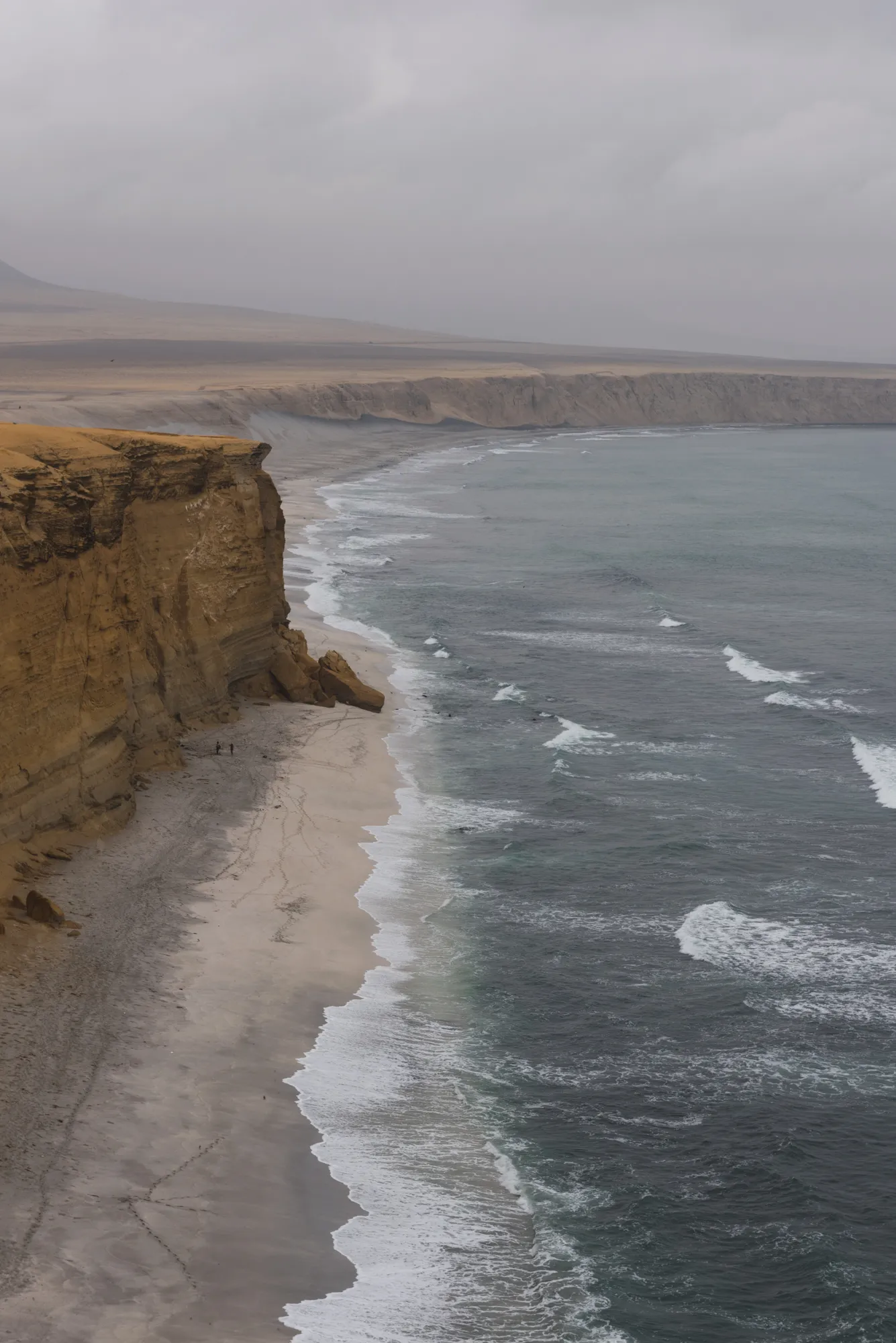Paracas and Ballestas Islands, Peru
