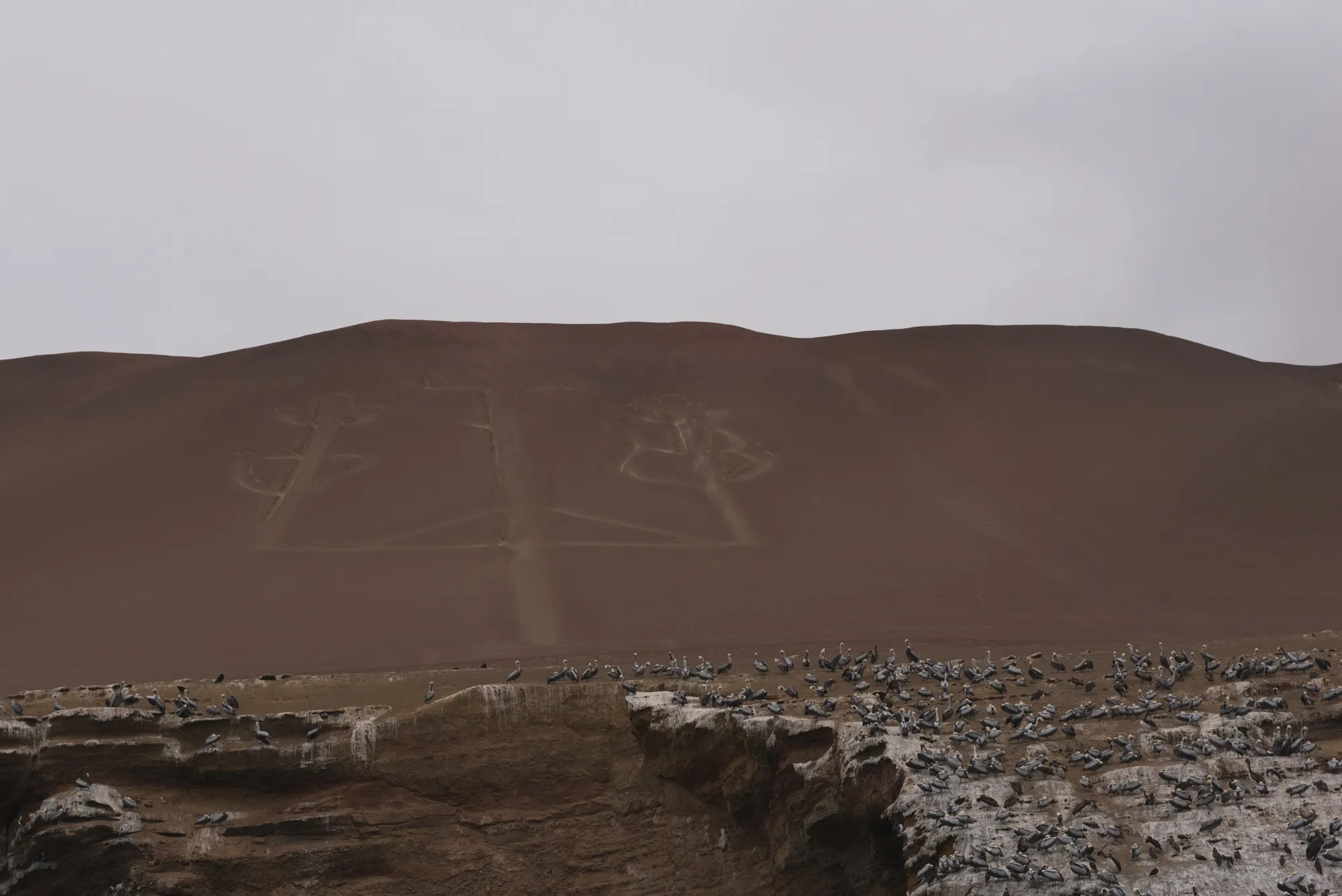Paracas and Ballestas Islands, Peru