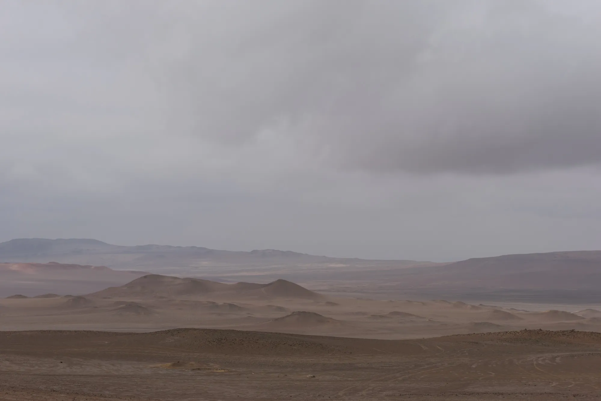 Paracas and Ballestas Islands, Peru