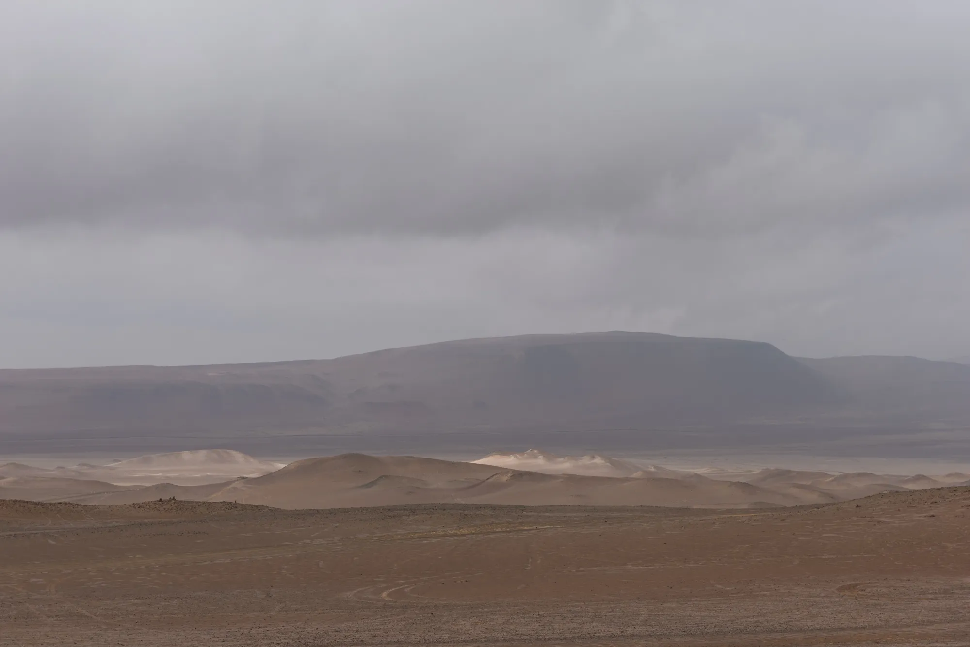 Paracas and Ballestas Islands, Peru