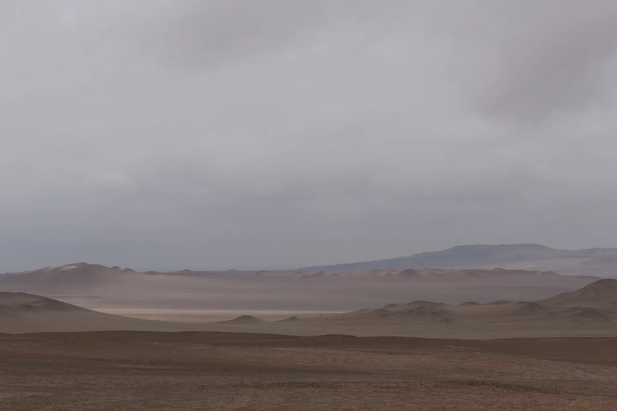 Paracas and Ballestas Islands, Peru