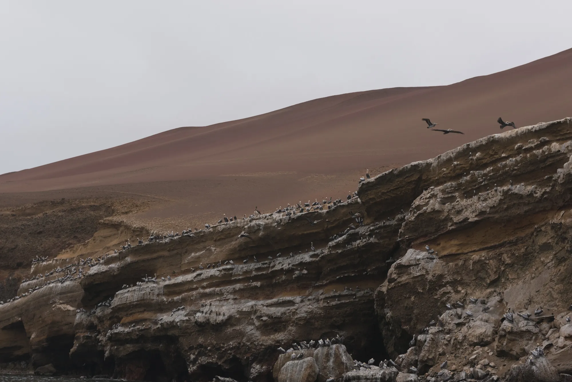 Paracas and Ballestas Islands, Peru
