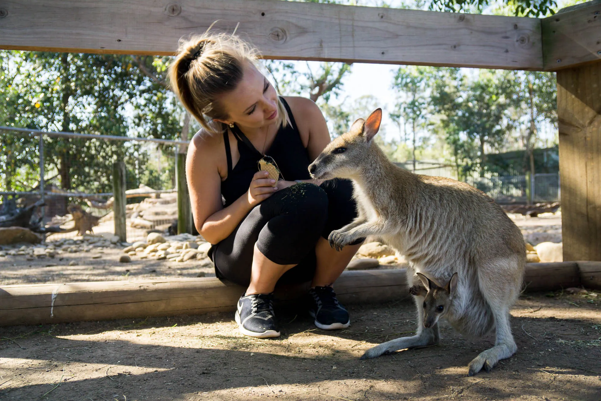 Roadtrip, Australia