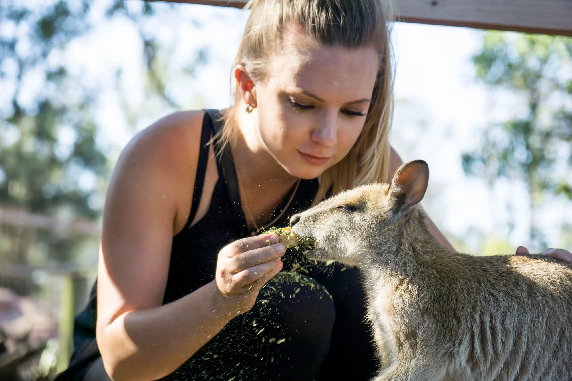 Roadtrip, Australia
