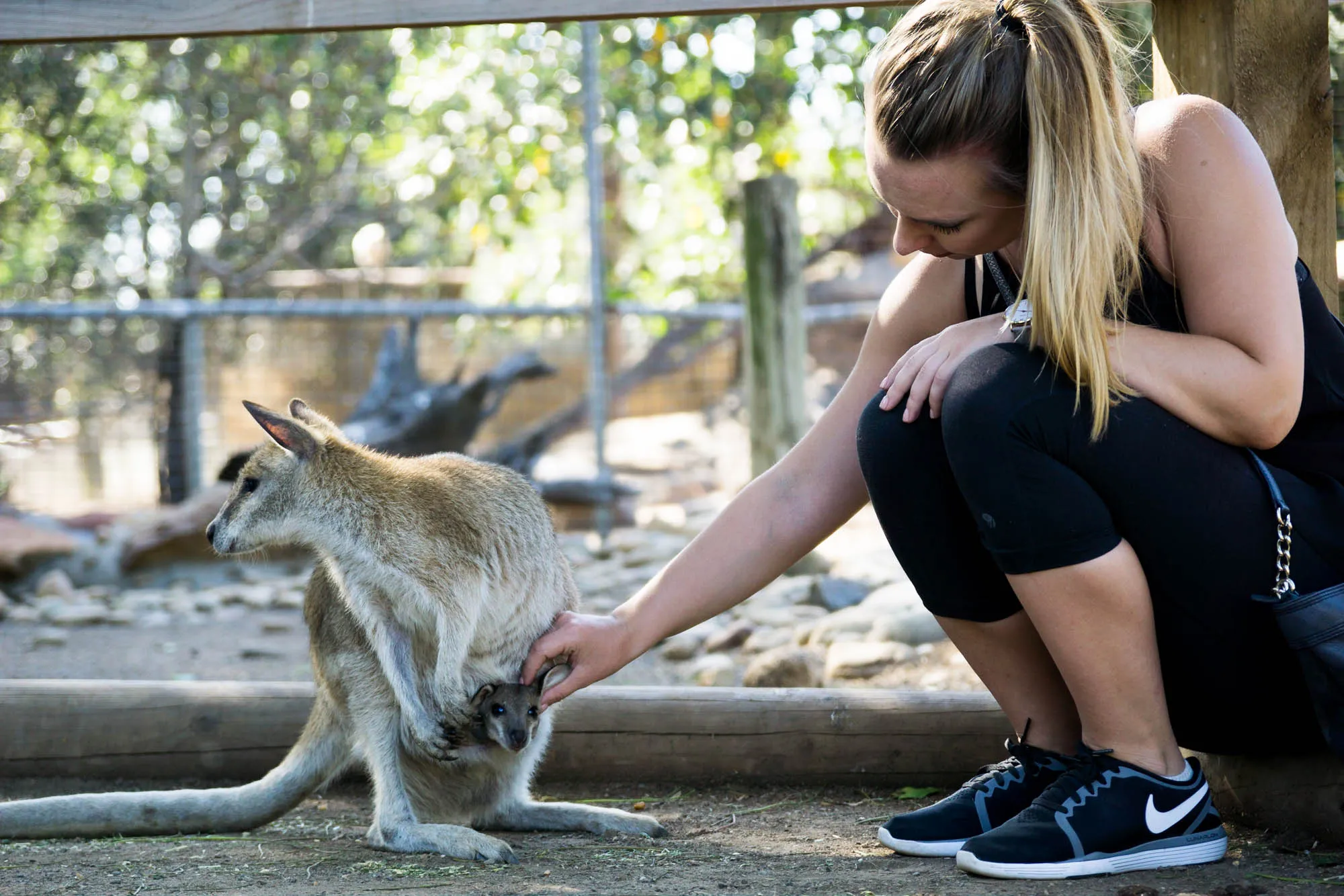 Roadtrip, Australia